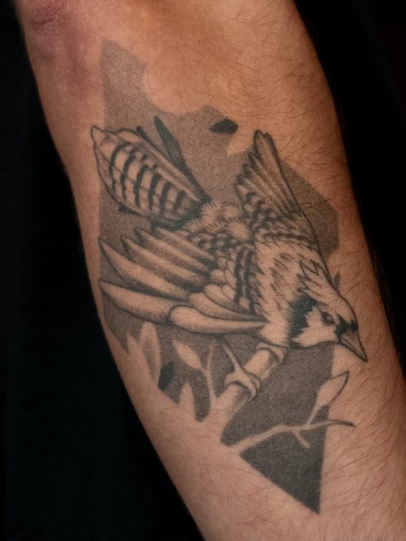 IMG 2013 jpg