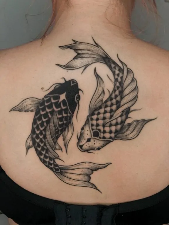 IMG 0646