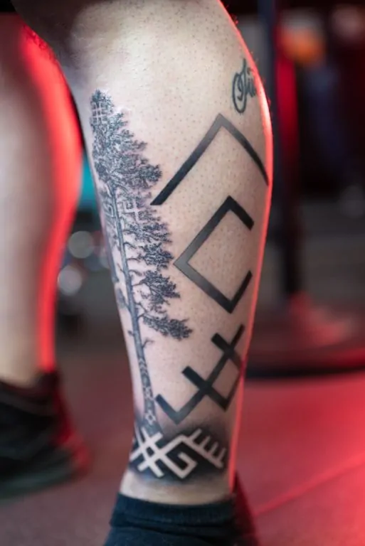 exp.done .tree1